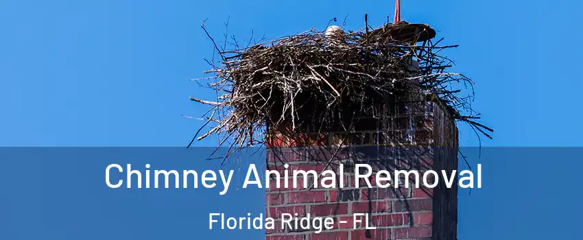  Chimney Animal Removal Florida Ridge - FL