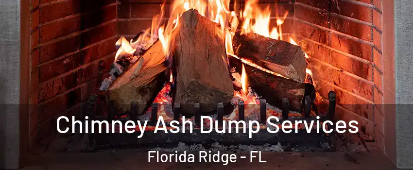  Chimney Ash Dump Services Florida Ridge - FL