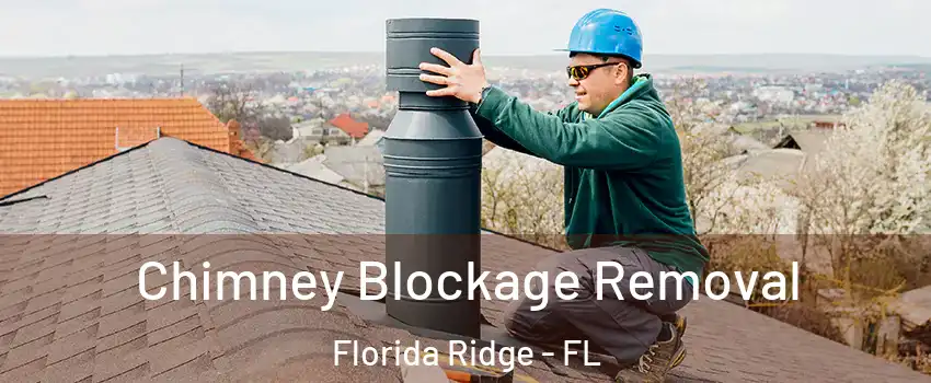  Chimney Blockage Removal Florida Ridge - FL