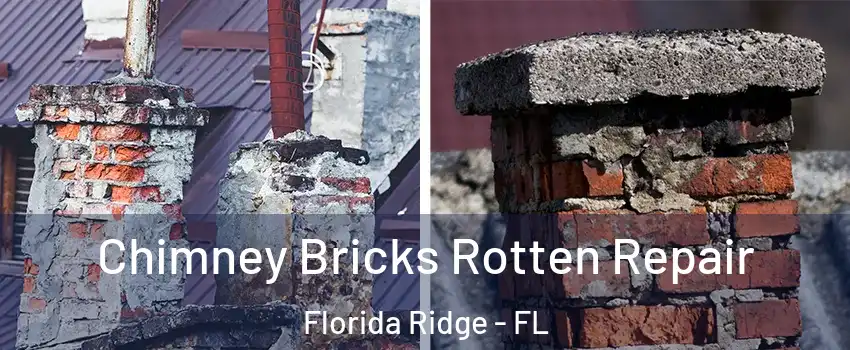  Chimney Bricks Rotten Repair Florida Ridge - FL