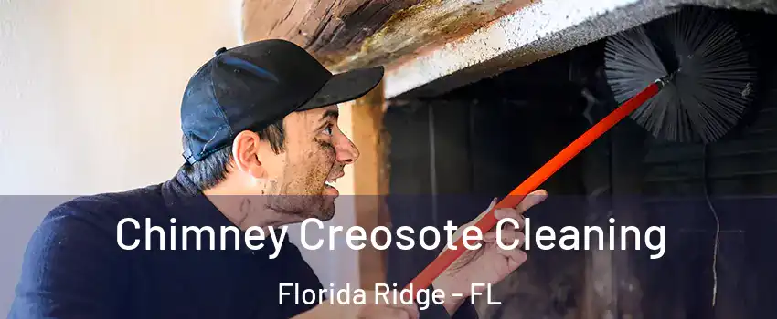  Chimney Creosote Cleaning Florida Ridge - FL
