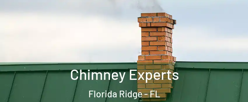  Chimney Experts Florida Ridge - FL