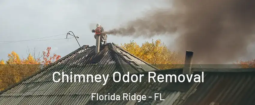  Chimney Odor Removal Florida Ridge - FL