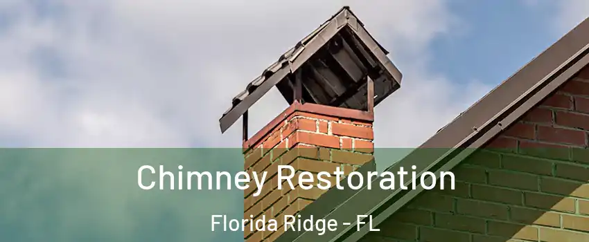  Chimney Restoration Florida Ridge - FL