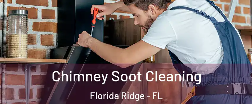  Chimney Soot Cleaning Florida Ridge - FL