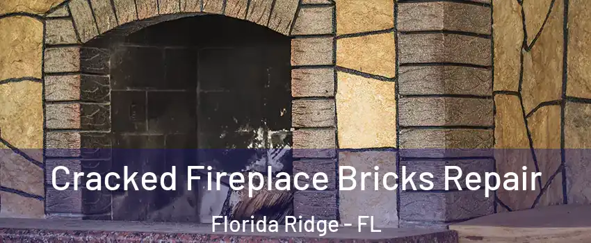  Cracked Fireplace Bricks Repair Florida Ridge - FL