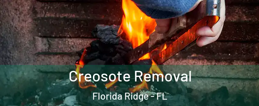  Creosote Removal Florida Ridge - FL