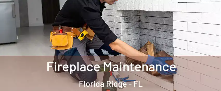  Fireplace Maintenance Florida Ridge - FL