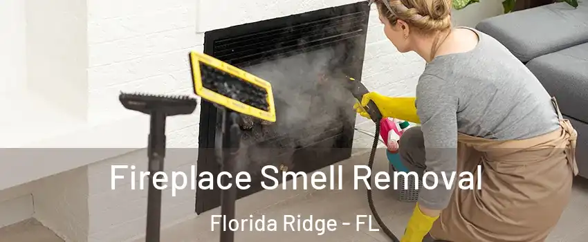  Fireplace Smell Removal Florida Ridge - FL