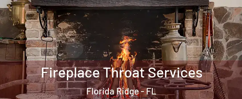  Fireplace Throat Services Florida Ridge - FL