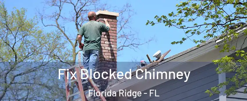  Fix Blocked Chimney Florida Ridge - FL
