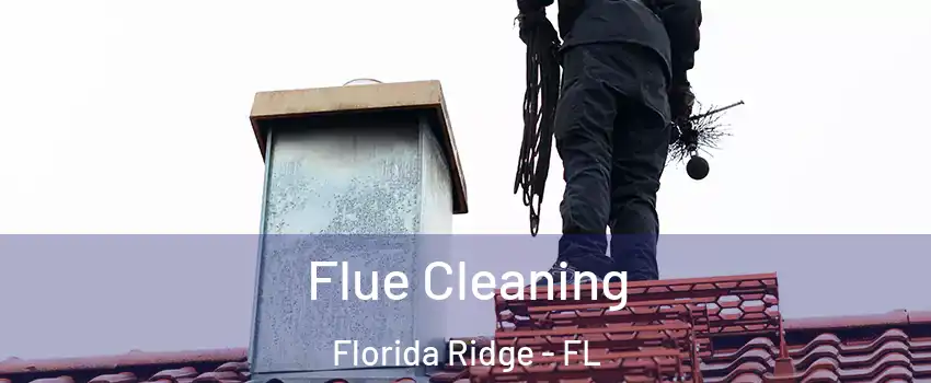  Flue Cleaning Florida Ridge - FL