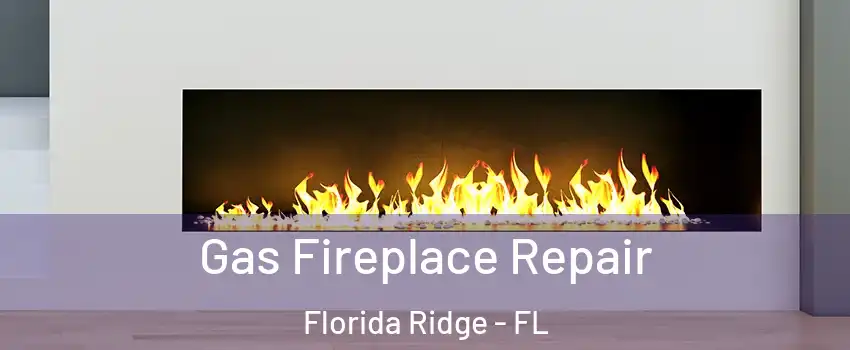  Gas Fireplace Repair Florida Ridge - FL