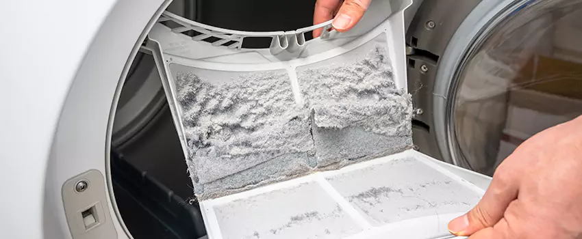 Best Dryer Lint Removal Company in Florida Ridge, Florida