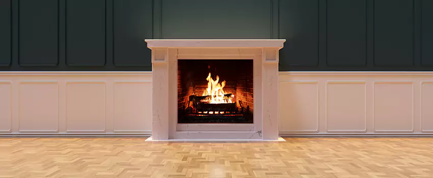 Napoleon Electric Fireplaces Inspection Service in Florida Ridge, Florida