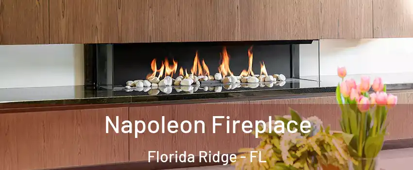  Napoleon Fireplace Florida Ridge - FL