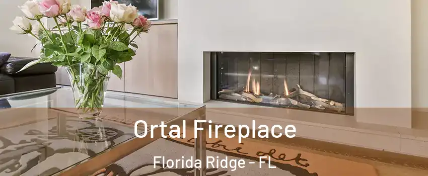  Ortal Fireplace Florida Ridge - FL